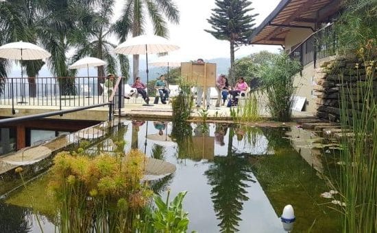 Piscinas ecológicas rodeadas de plantas y paisajismo natural, integradas armónicamente en el entorno con aguas cristalinas y vegetación abundante
