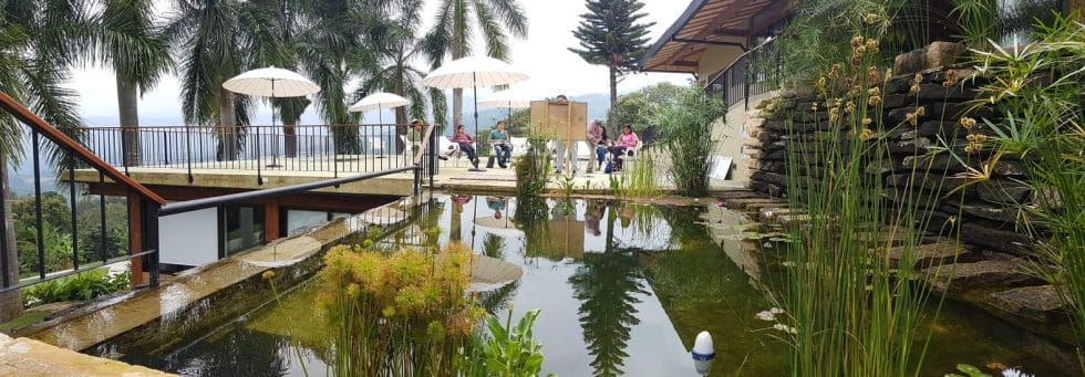 Piscinas ecológicas rodeadas de plantas y paisajismo natural, integradas armónicamente en el entorno con aguas cristalinas y vegetación abundante