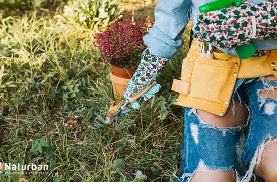 Persona con guantes de jardinería estampados y cinturón de herramientas cuidando su jardín. Sostiene unas tijeras de poda mientras trabaja en el césped. Cuidar Tu Jardín con dedicación y herramientas adecuadas.