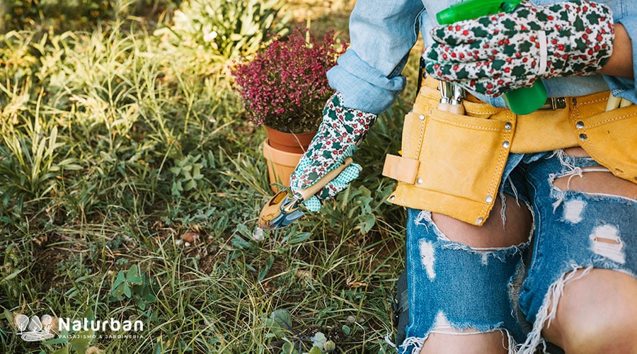 Persona con guantes de jardinería estampados y cinturón de herramientas cuidando su jardín. Sostiene unas tijeras de poda mientras trabaja en el césped. Cuidar Tu Jardín con dedicación y herramientas adecuadas.