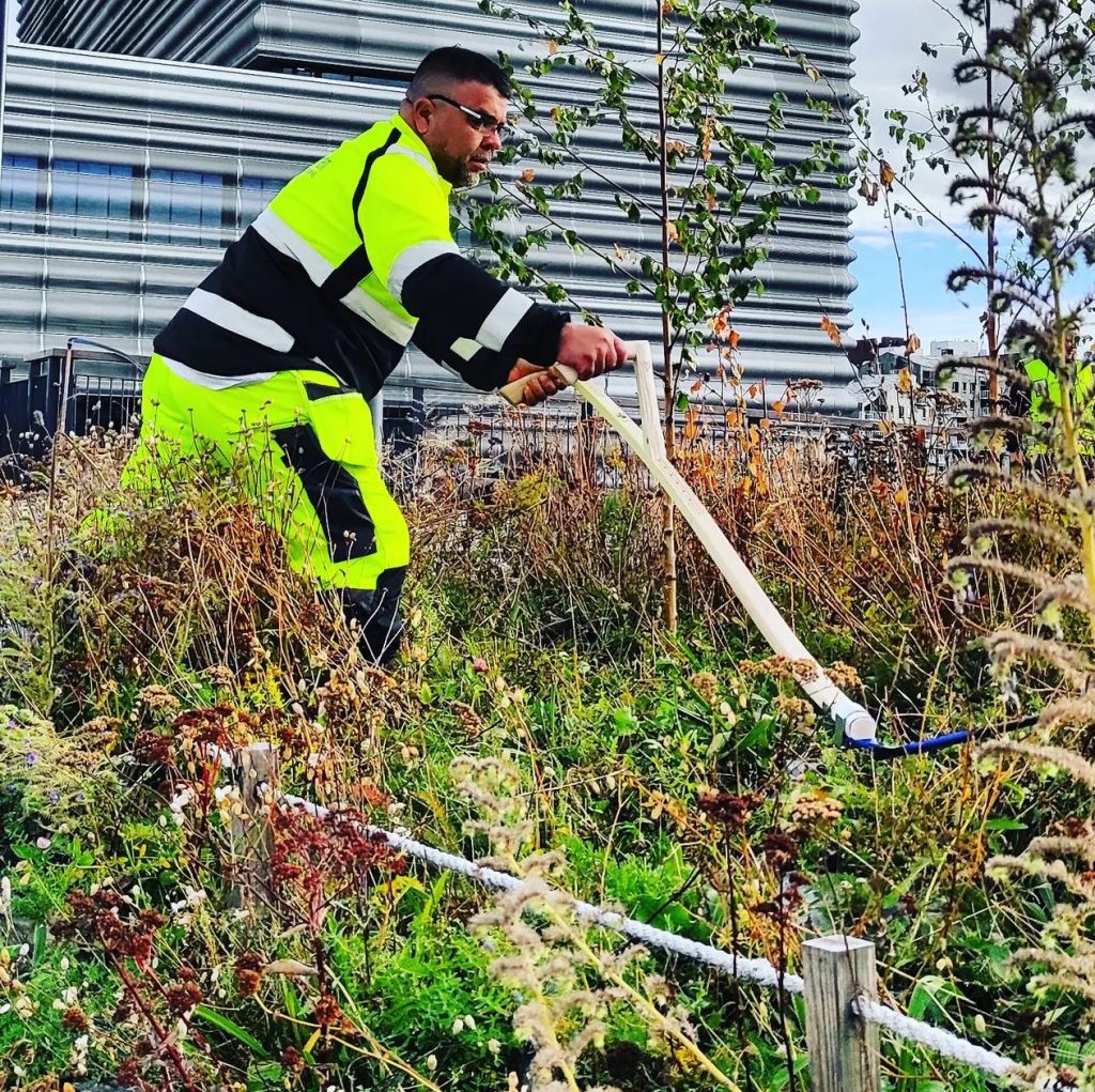 Hombre trabajando en el jardín